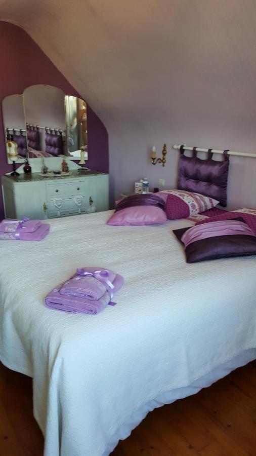 Au Berceau Du Loup Agile Bed and Breakfast Offendorf Exteriör bild
